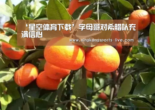 ‘星空体育下载’字母哥对希腊队充满信心(图4) 星空体育登录