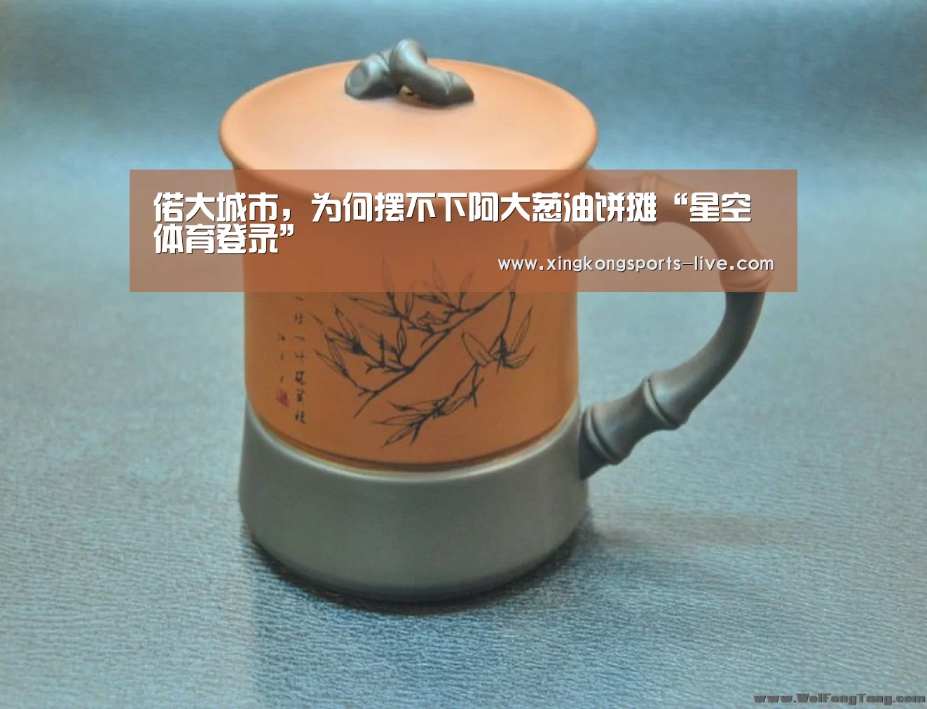 偌大城市,为何摆不下阿大葱油饼摊“星空体育登录”(图1) 星空体育在线