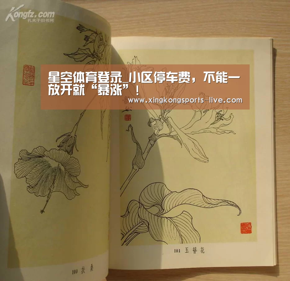 星空体育登录