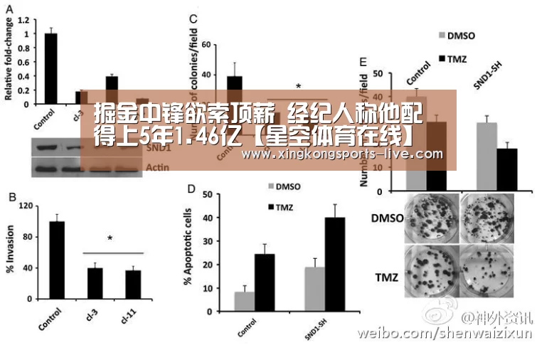 掘金中锋欲索顶薪 经纪人称他配得上5年1.46亿【星空体育在线】(图3) 星空体育下载