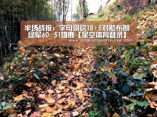 半场战报:字母哥砍18+5对飚布朗 绿军60-51雄鹿【星空体育登录】(图4) 星空体育在线